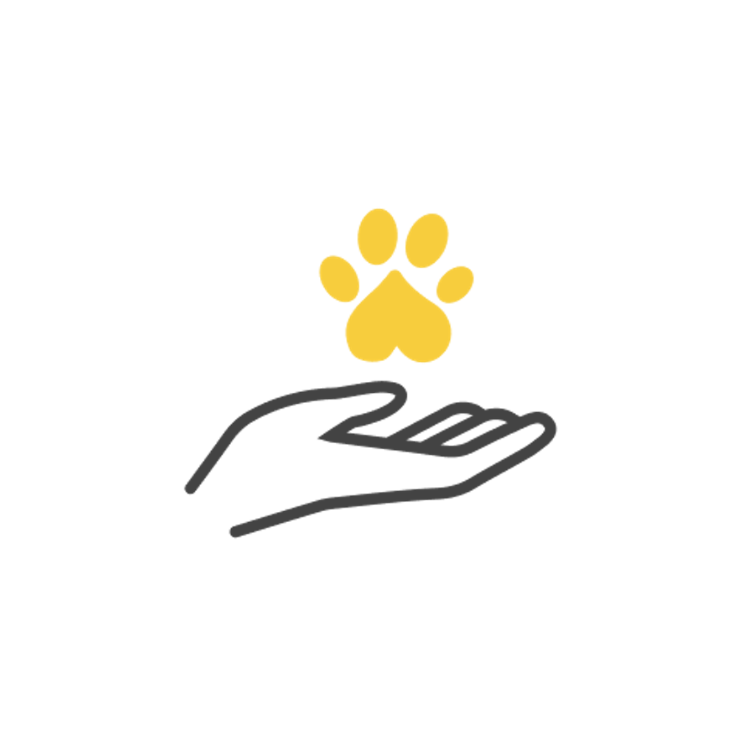 A hand gently holds up a pet's paw
