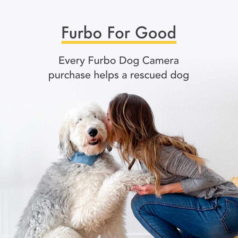  Furbo Cámara para perros de 360°: [Nuevo 2022] Cámara giratoria  de visión de 360° para mascotas con lanzamiento de golosinas, visión  nocturna a color, panorámica HD de 1080p, audio de 2