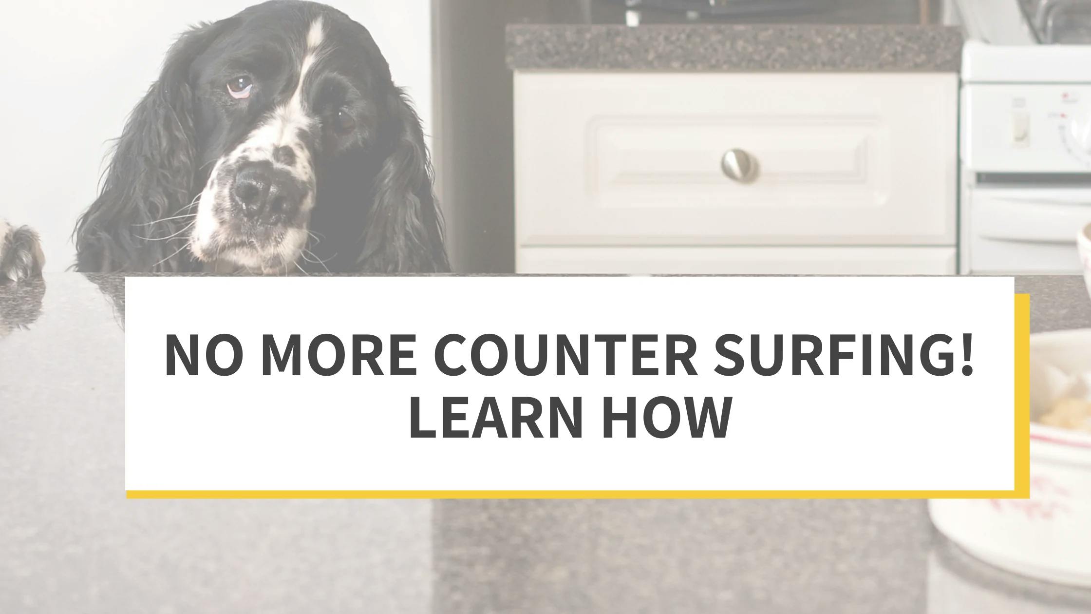 No More Counter Surfing!