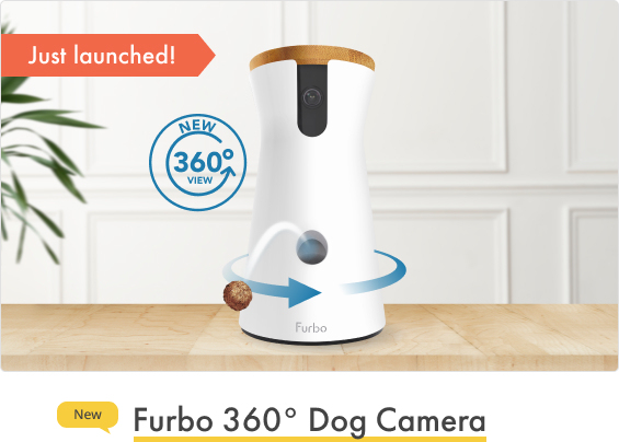 verbo dog camera