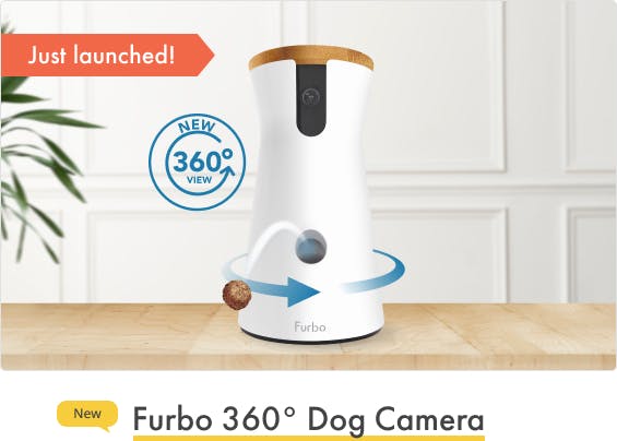 what is a furbo dog camera