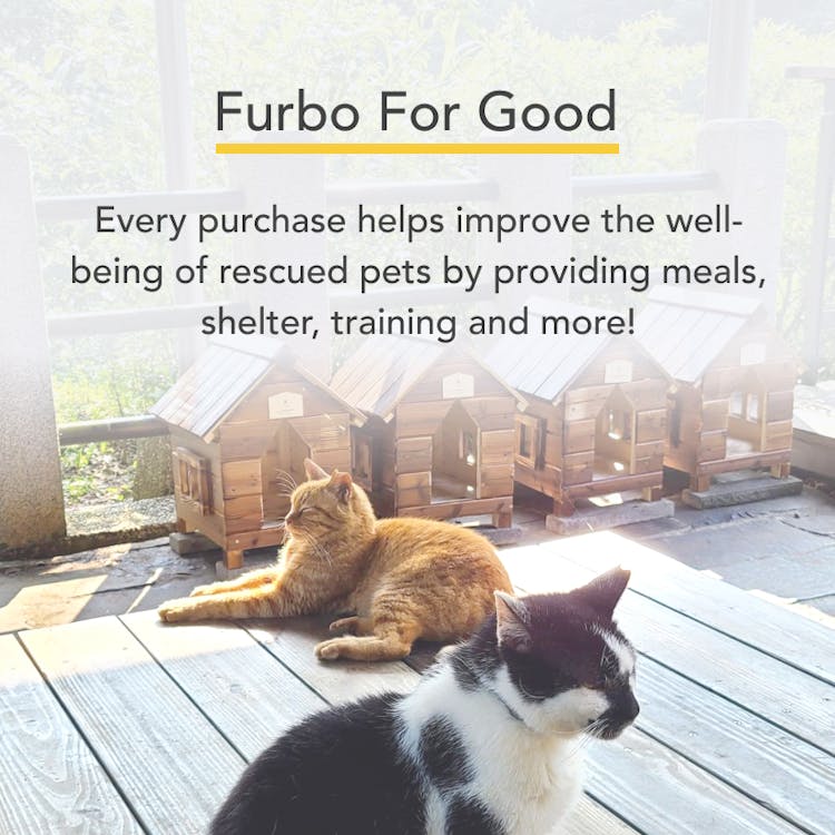 Furbo Cat Camera｜Pet Camera designed specifically for cats