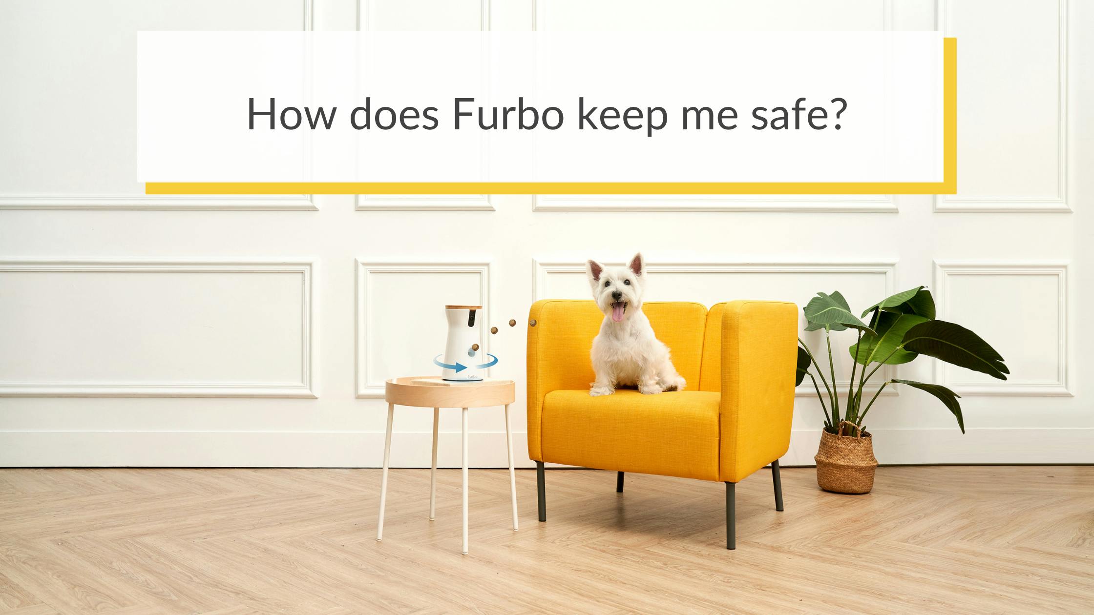 How does Furbo keep me safe?