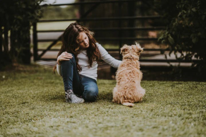 dog and human