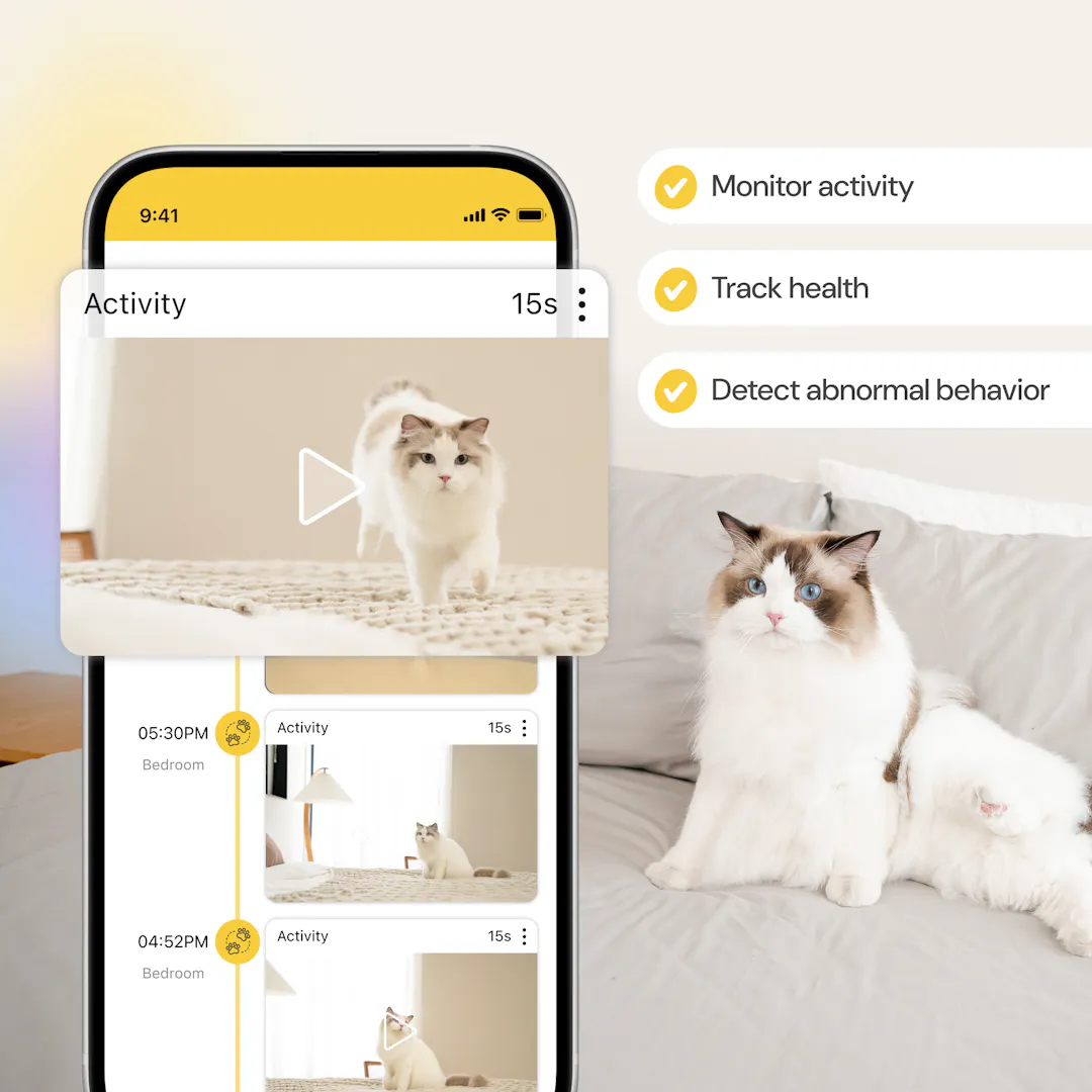Furbo Cat Camera|Pet Camera designed specifically for cats