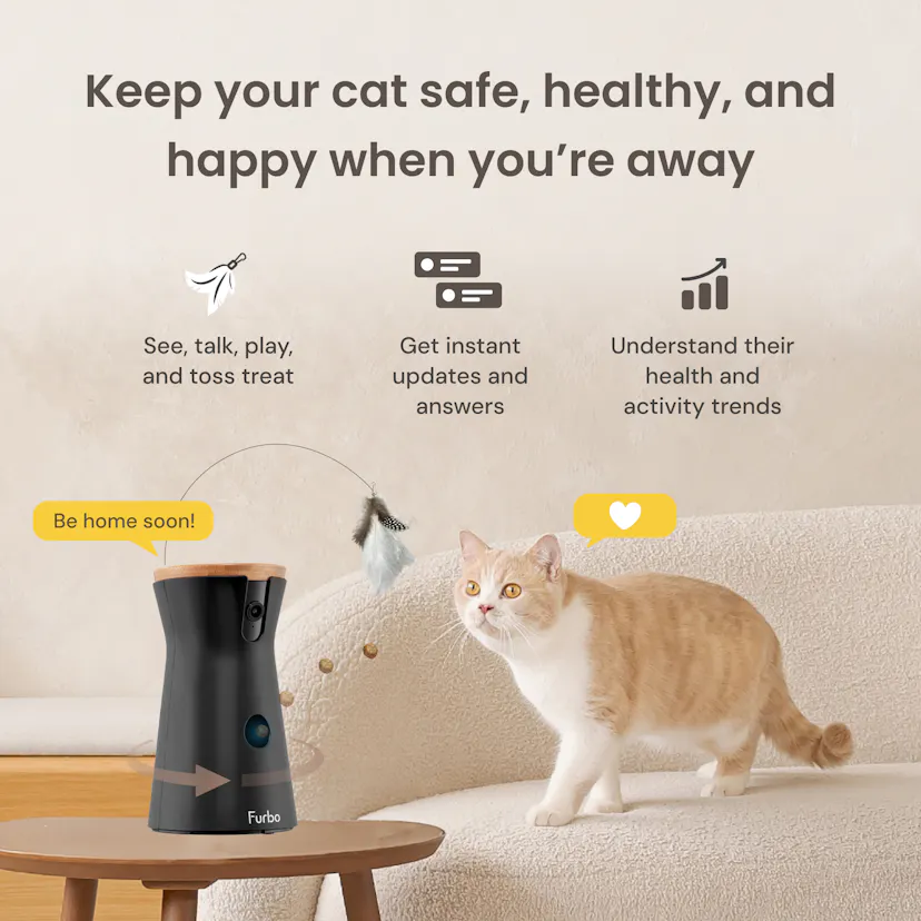 Furbo Cat Camera|Pet Camera designed specifically for cats