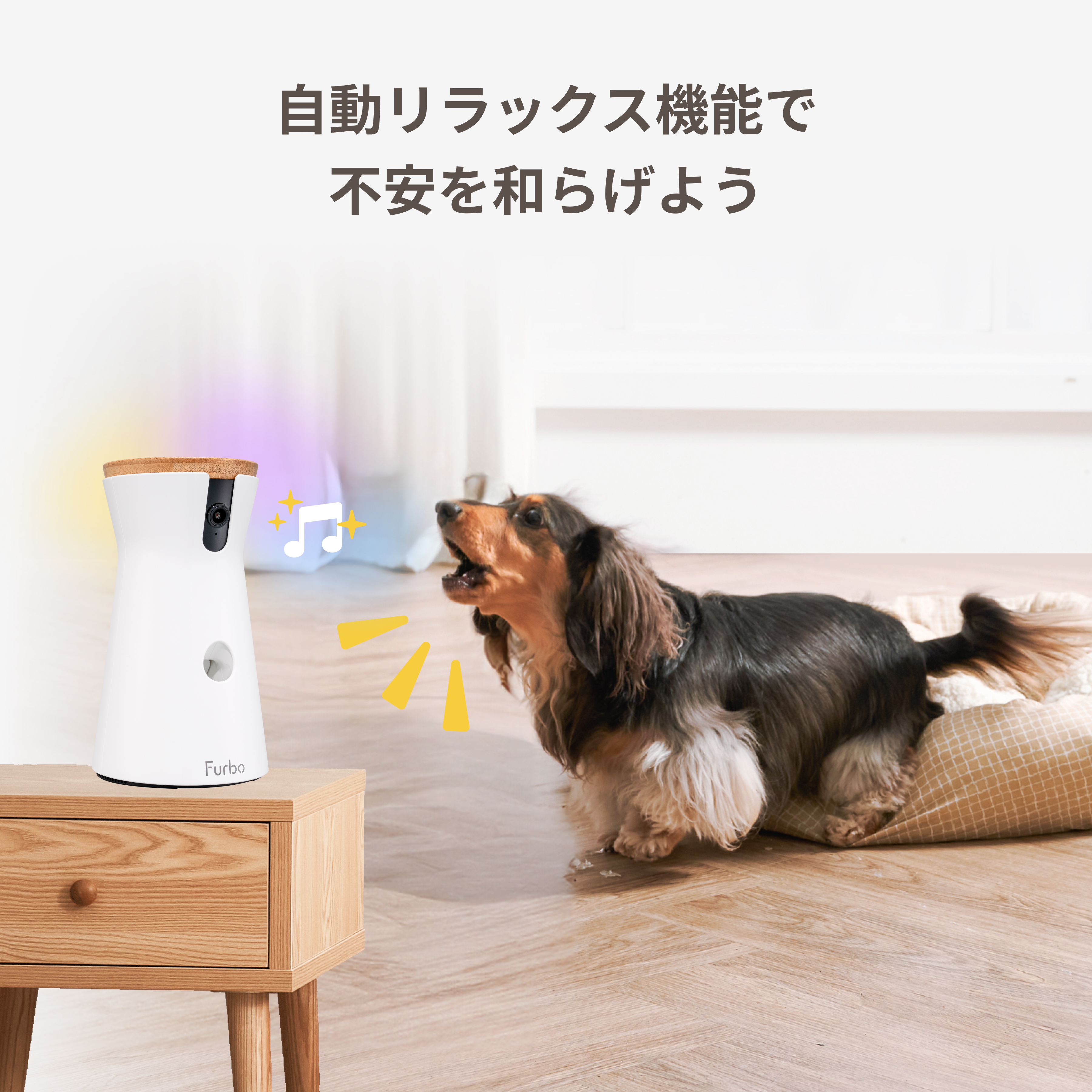 Furbo Dog Camera offers