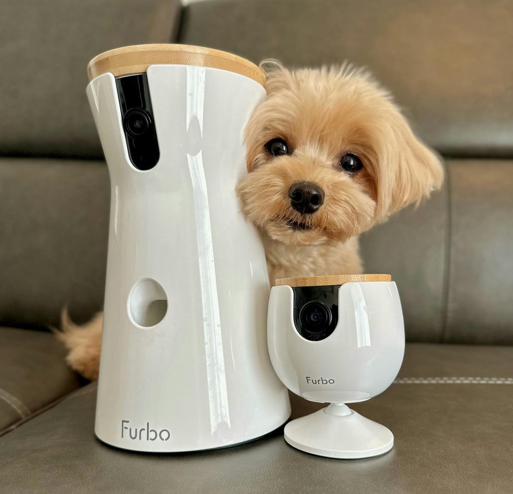 公式】Furboドッグカメラ 360°ビュー|商品詳細 公式】Furboドッグカメラ 360°ビュー|商品詳細