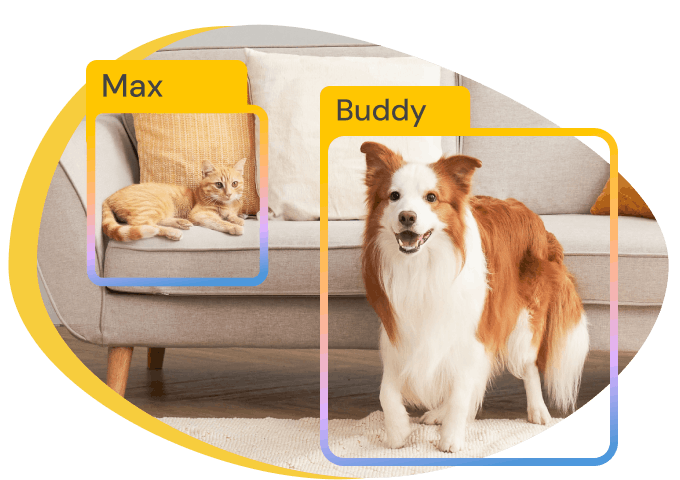 Furbo｜#1 Best-selling Interactive Pet Camera Brand