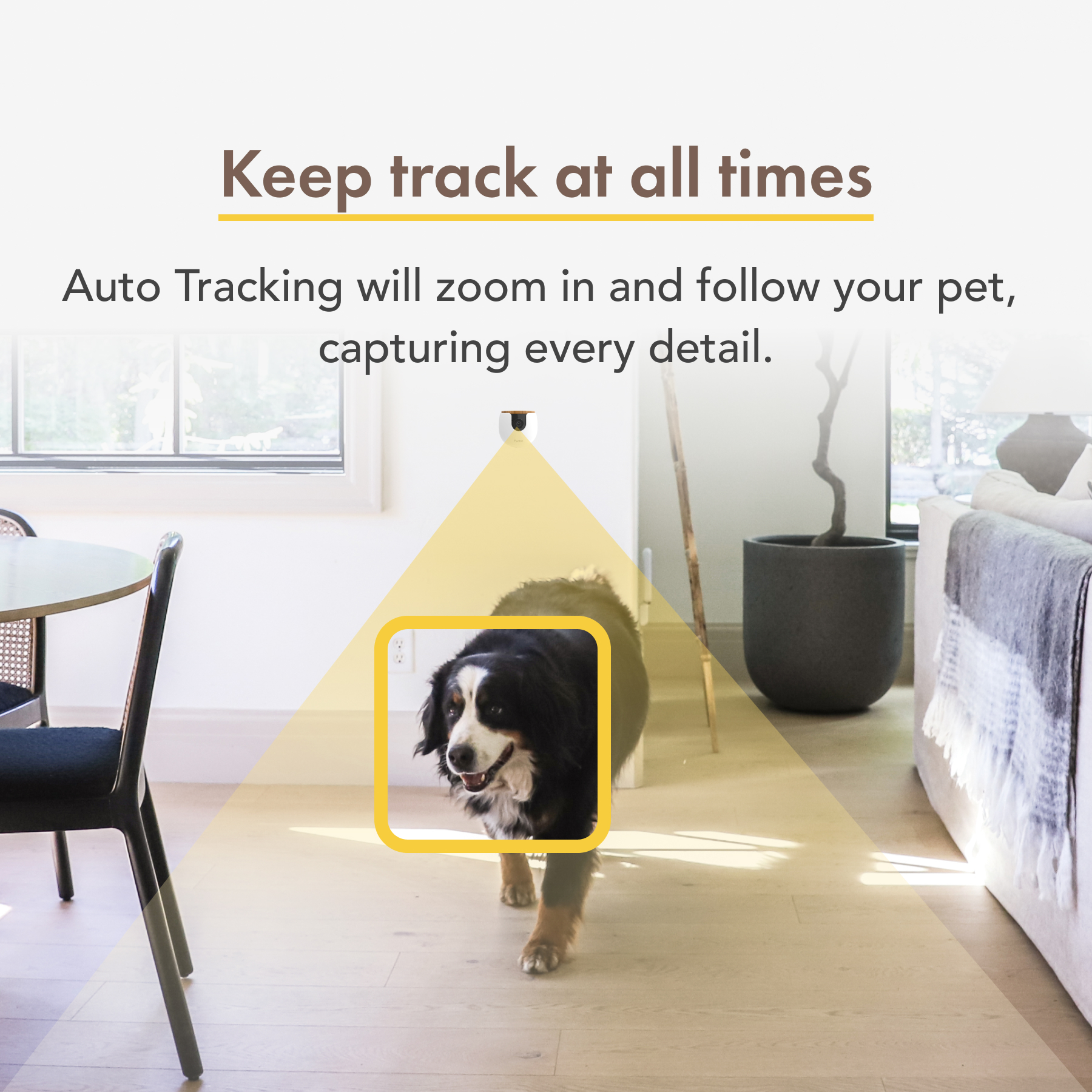 Argus 4 Pro: Bewakingscamera Heeft Geen Kabels Nodig, Biedt Een Groot Bereik En Slimme Functies Zonder Abonnement.849094.0