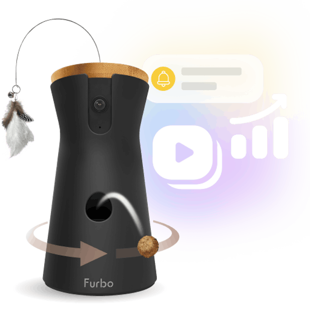 Furbo Cat Camera｜Pet Camera designed specifically for cats