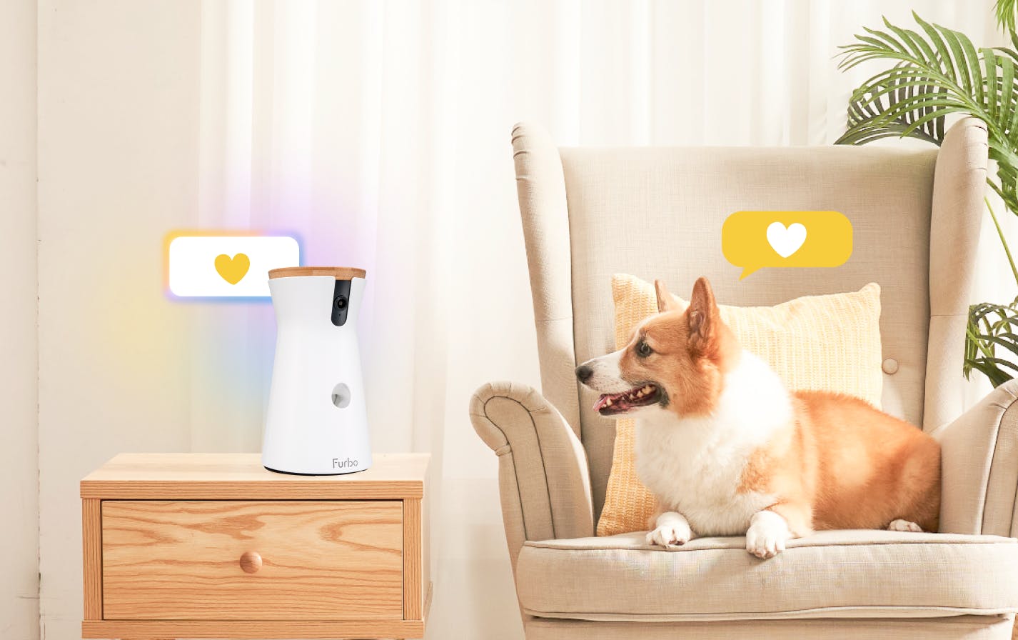 Dog camera with audio best sale