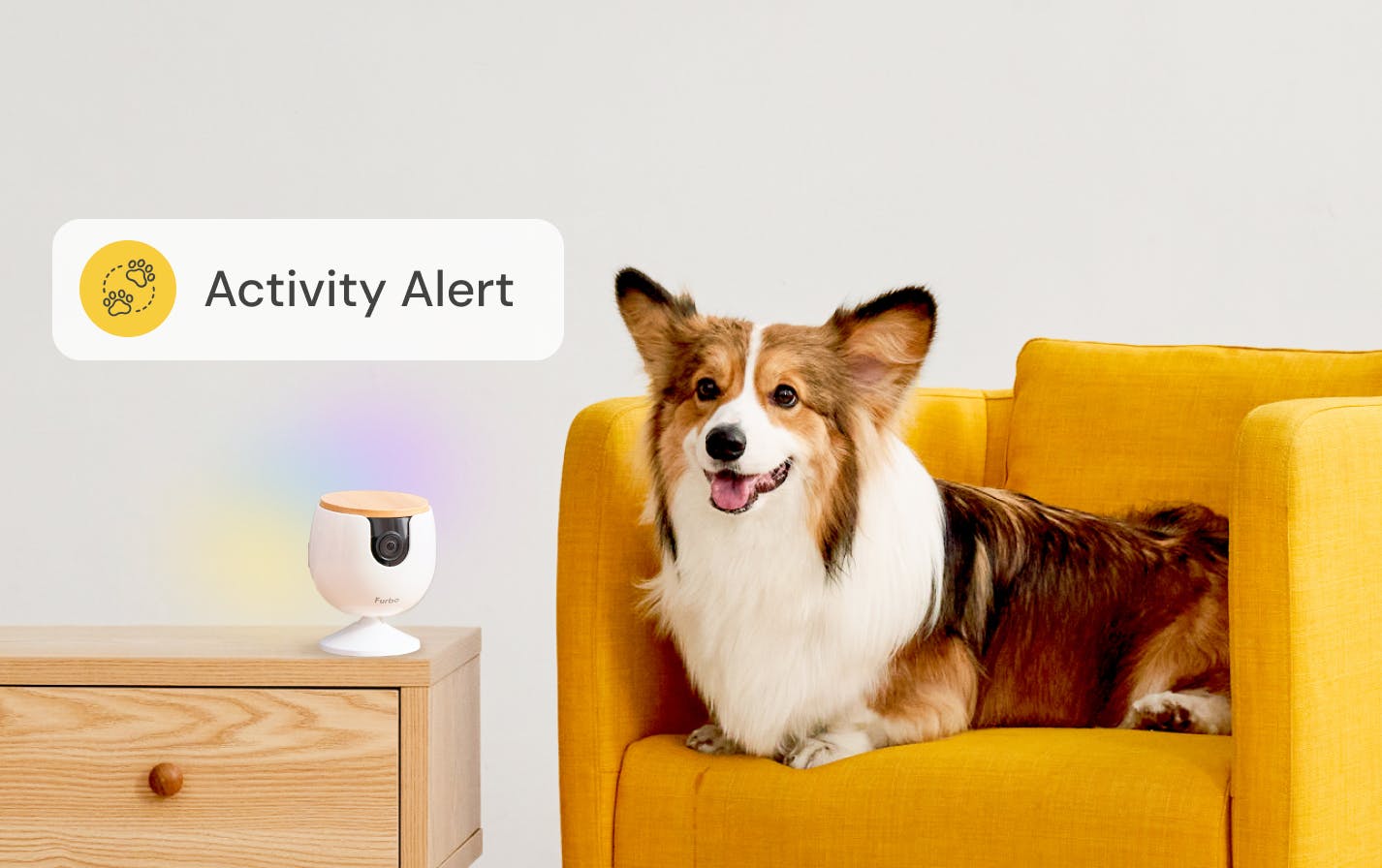 Furbo Mini｜Compact smart pet camera designed specifically