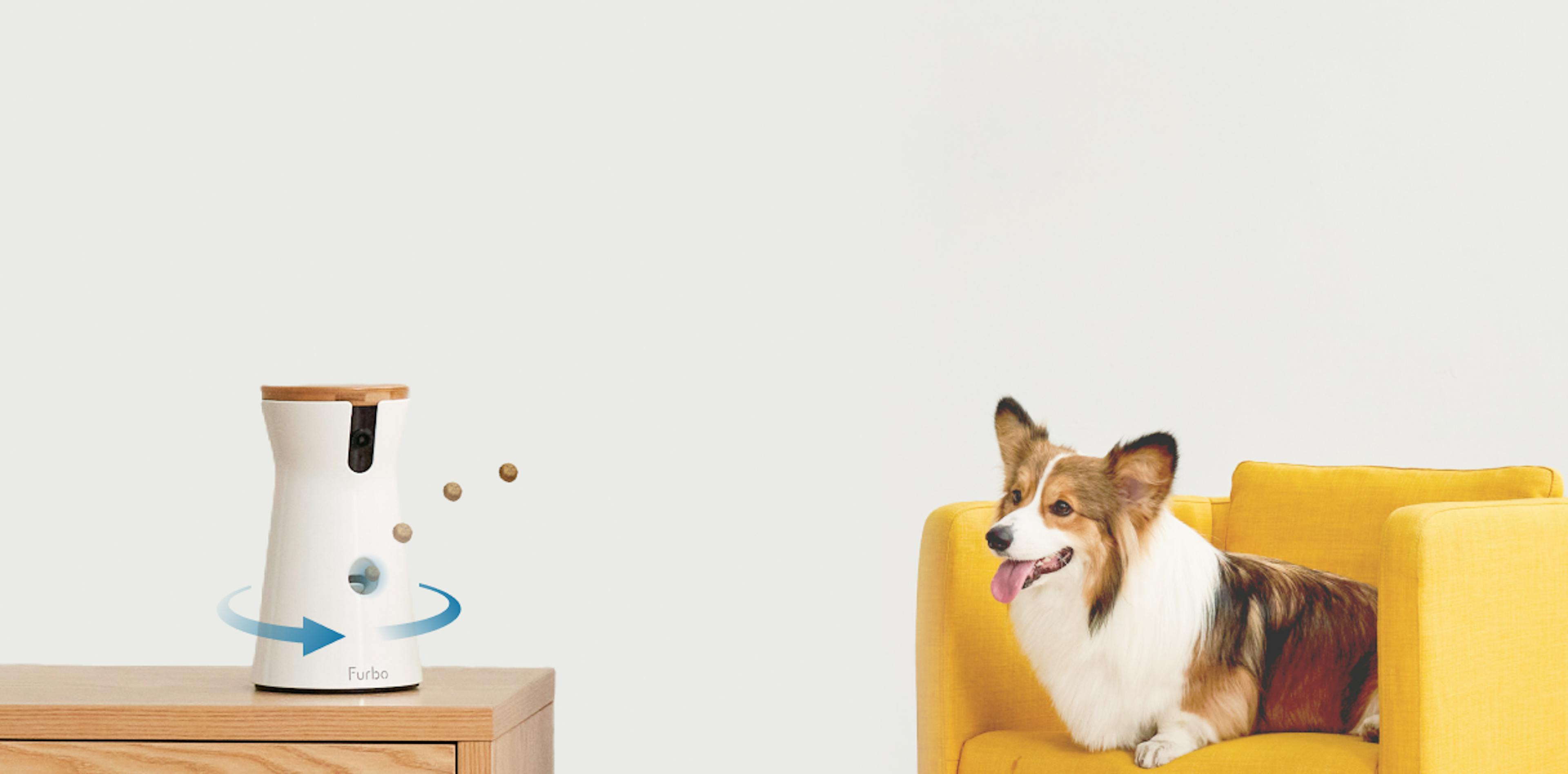 Furbo 360° Dog Camera on a wooden table with a curious dog peeking up from the edge, looking at the device. 
