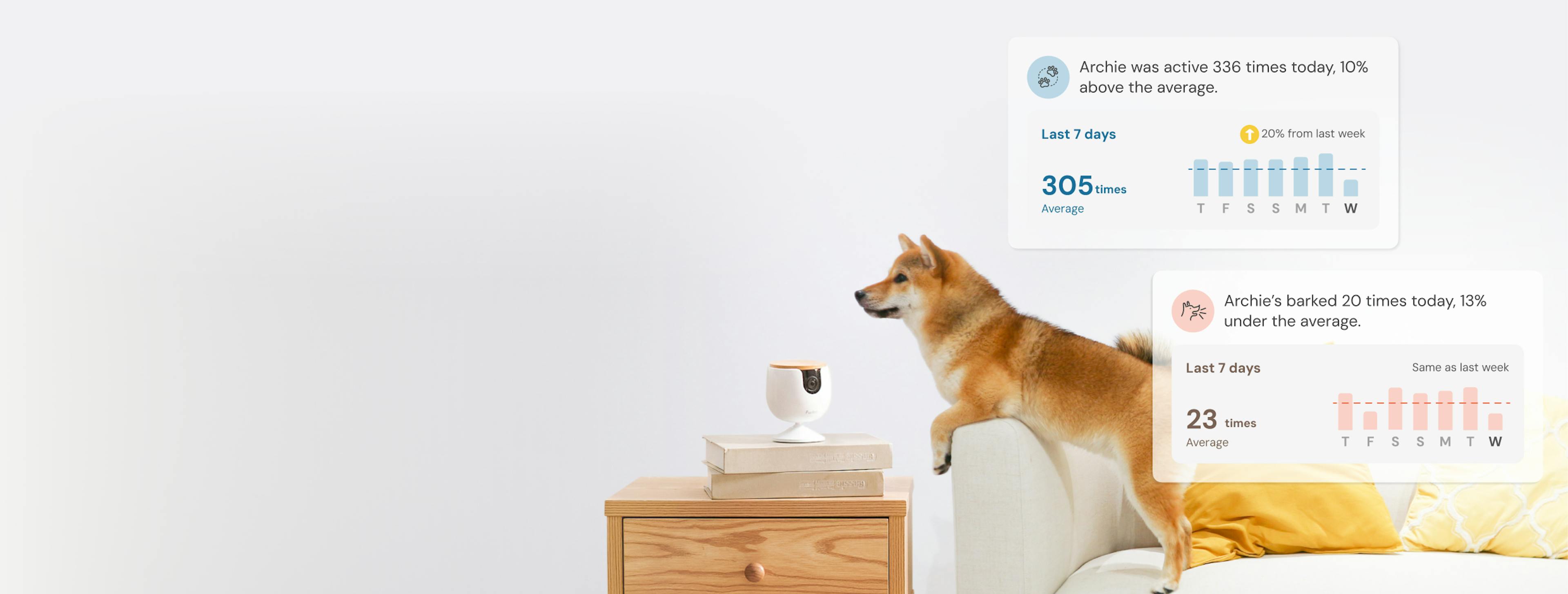 A Shiba jumps off a sofa near a Furbo Mini, with a phone showing activity alerts and two dogs in the scene.