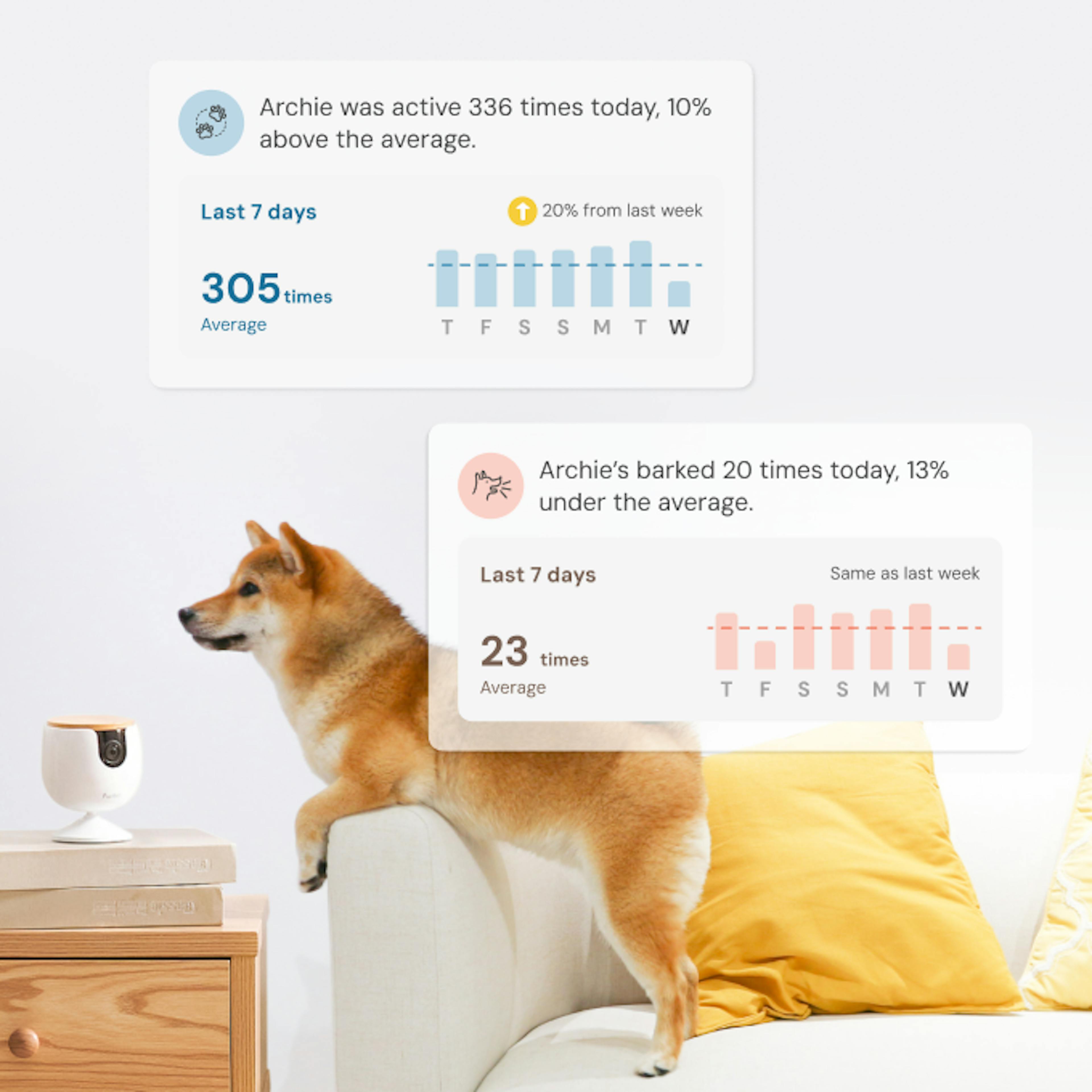 A Shiba jumps off a sofa near a Furbo Mini, with a phone showing activity alerts and two dogs in the scene.