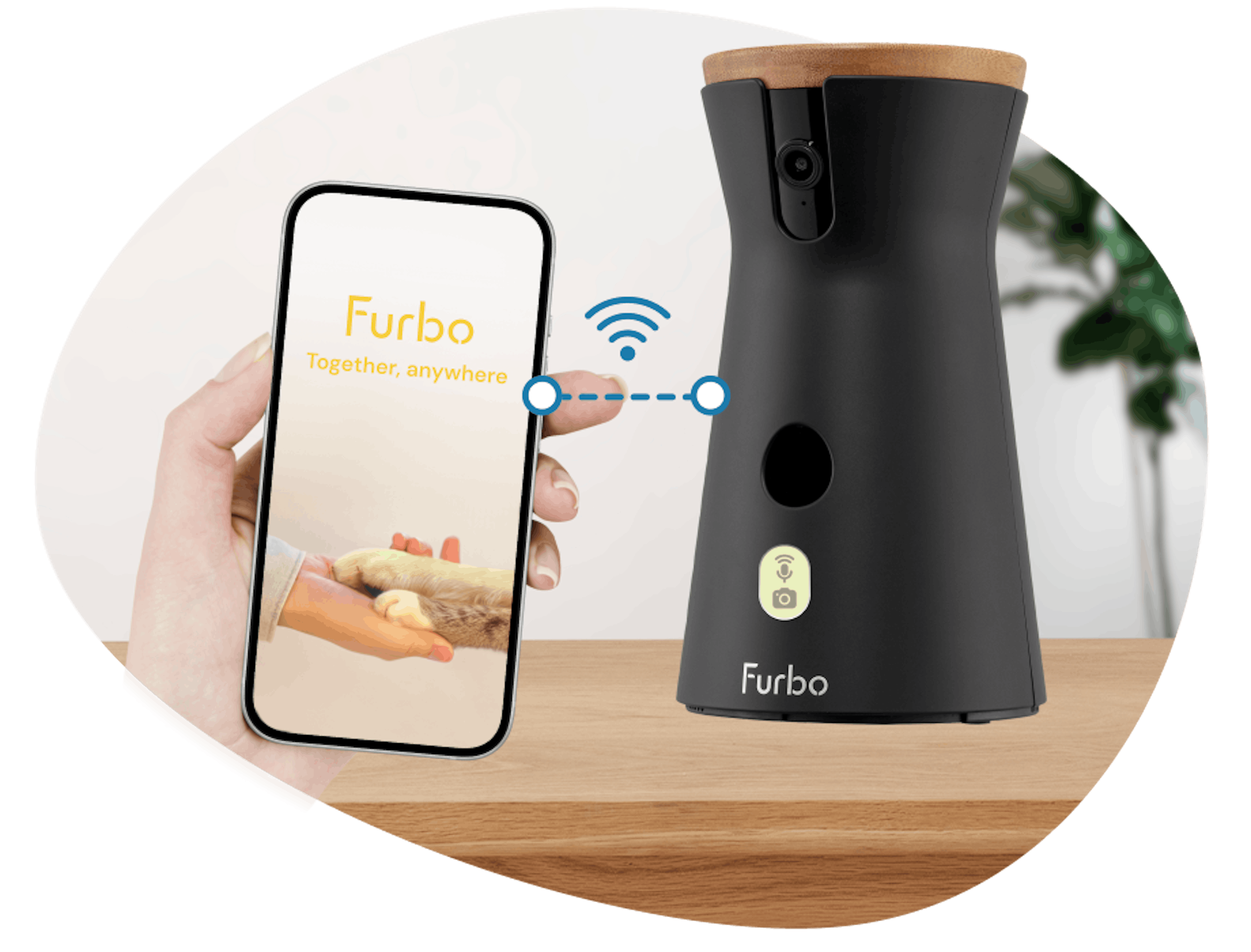Ein Smartphone verbindet sich über WLAN mit dem Furbo-Gerät.