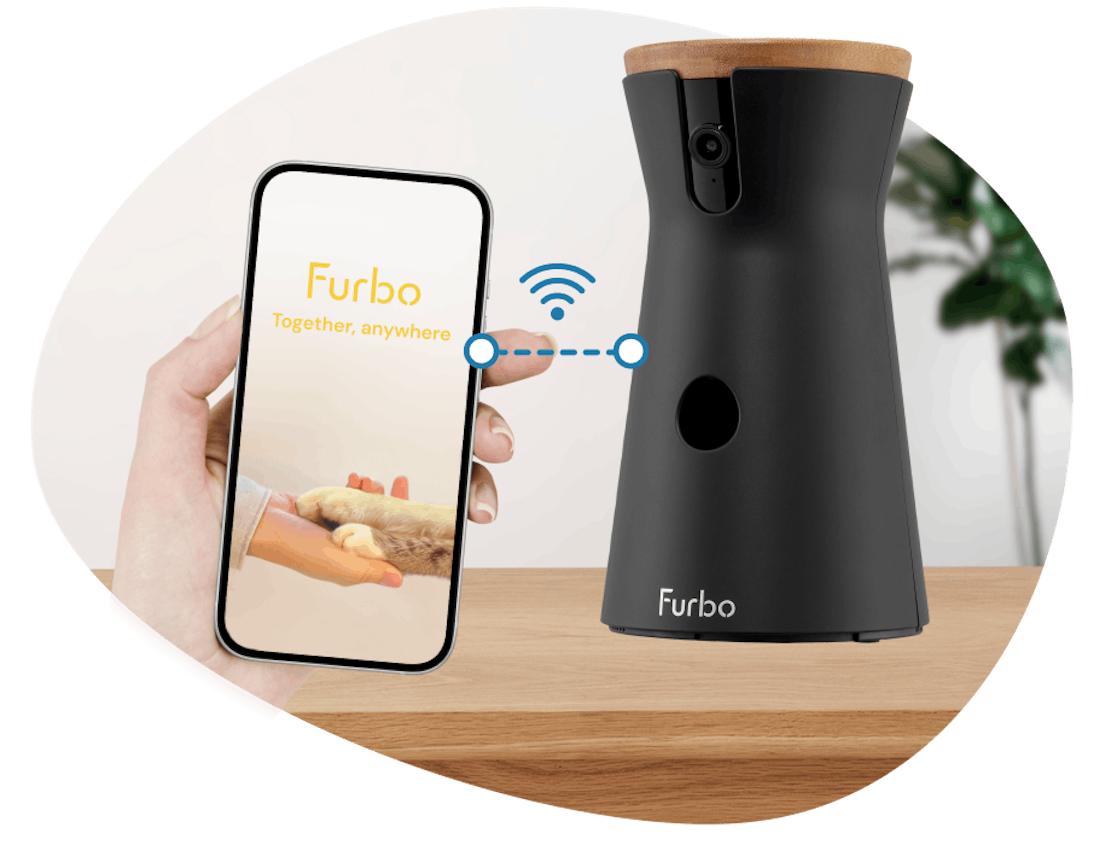 A phone connects to the Furbo device via Wi-Fi.