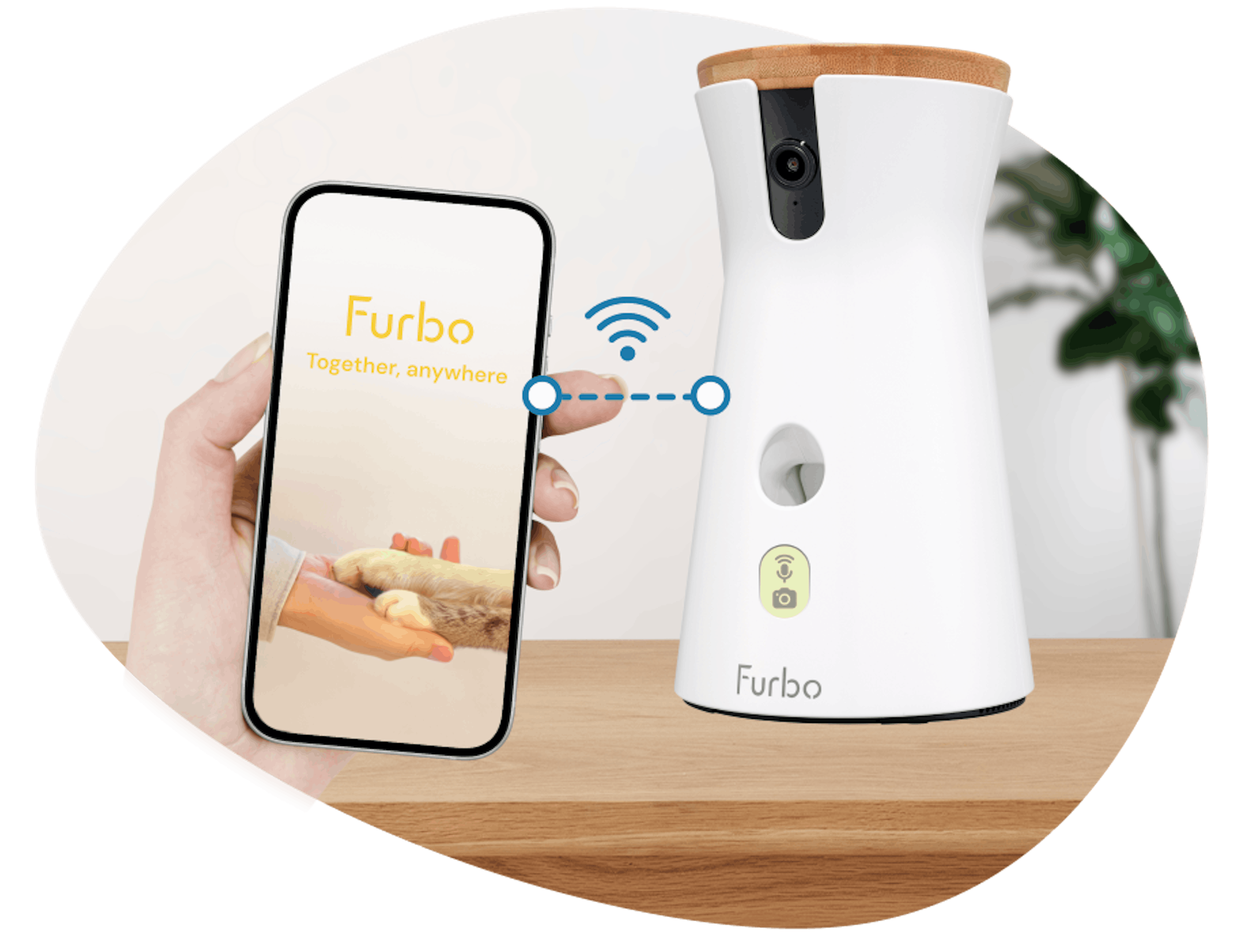 Ein Smartphone verbindet sich über WLAN mit dem Furbo-Gerät.
