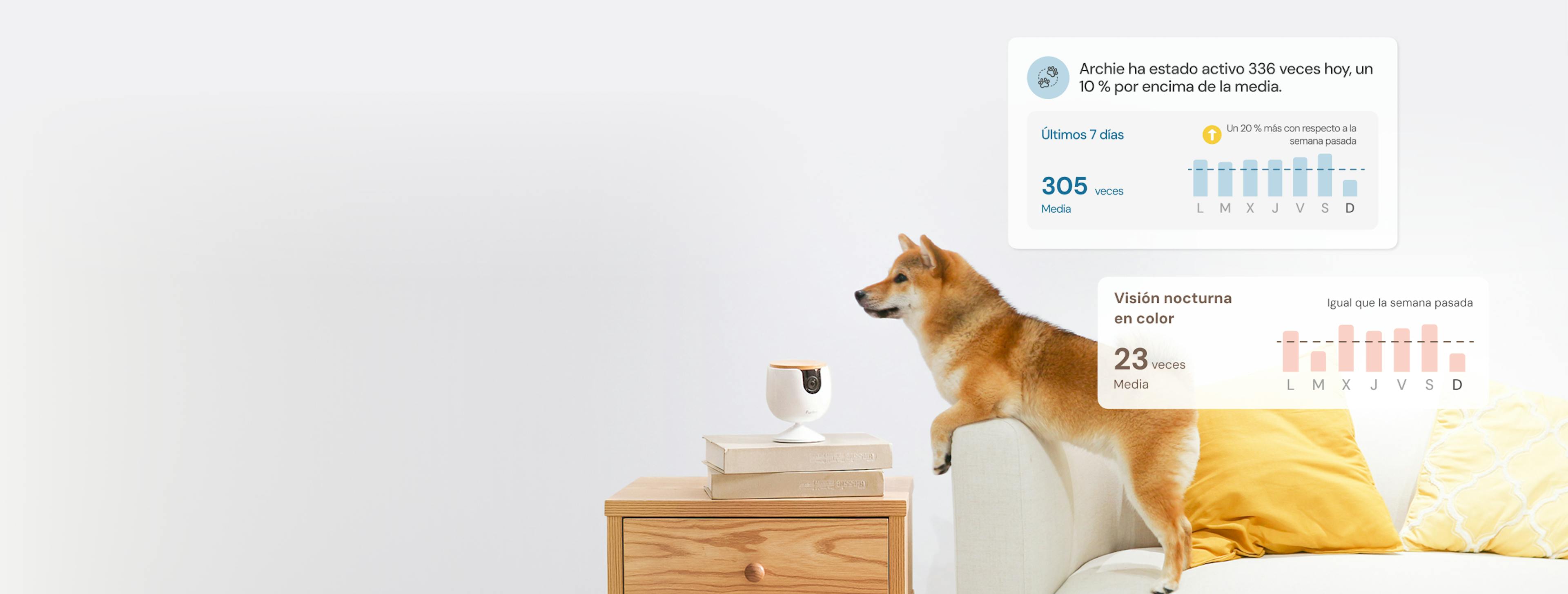 Un Shiba salta de un sofá cerca de un Furbo Mini, con un teléfono que muestra alertas de actividad y dos perros en la escena.