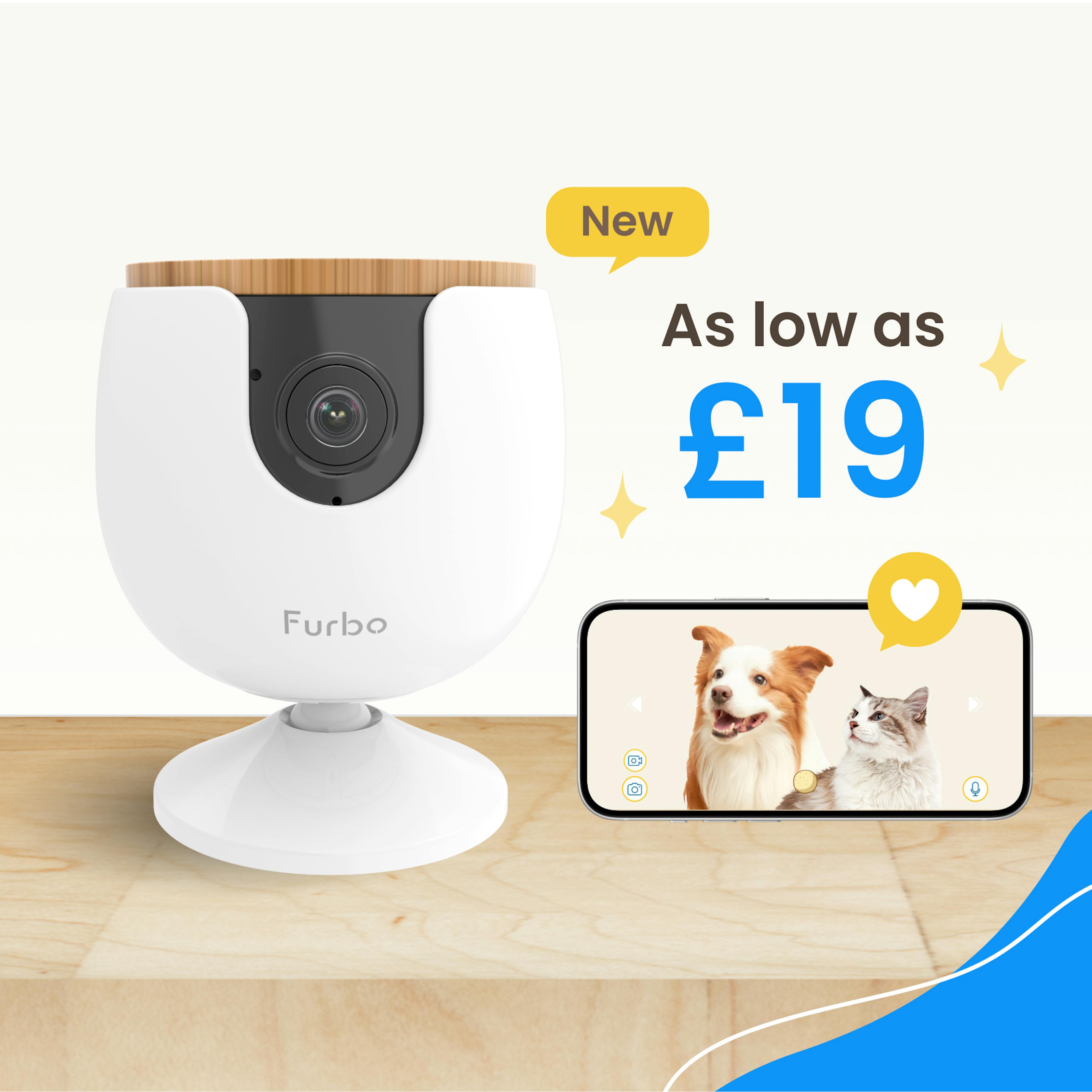 Furbo Mini camera on a wooden table next to a phone displaying a live view of a corgi and a kitten sitting together.