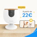  Caméra Furbo Mini sur table bois à côté téléphone avec vue en direct de corgi et chaton.