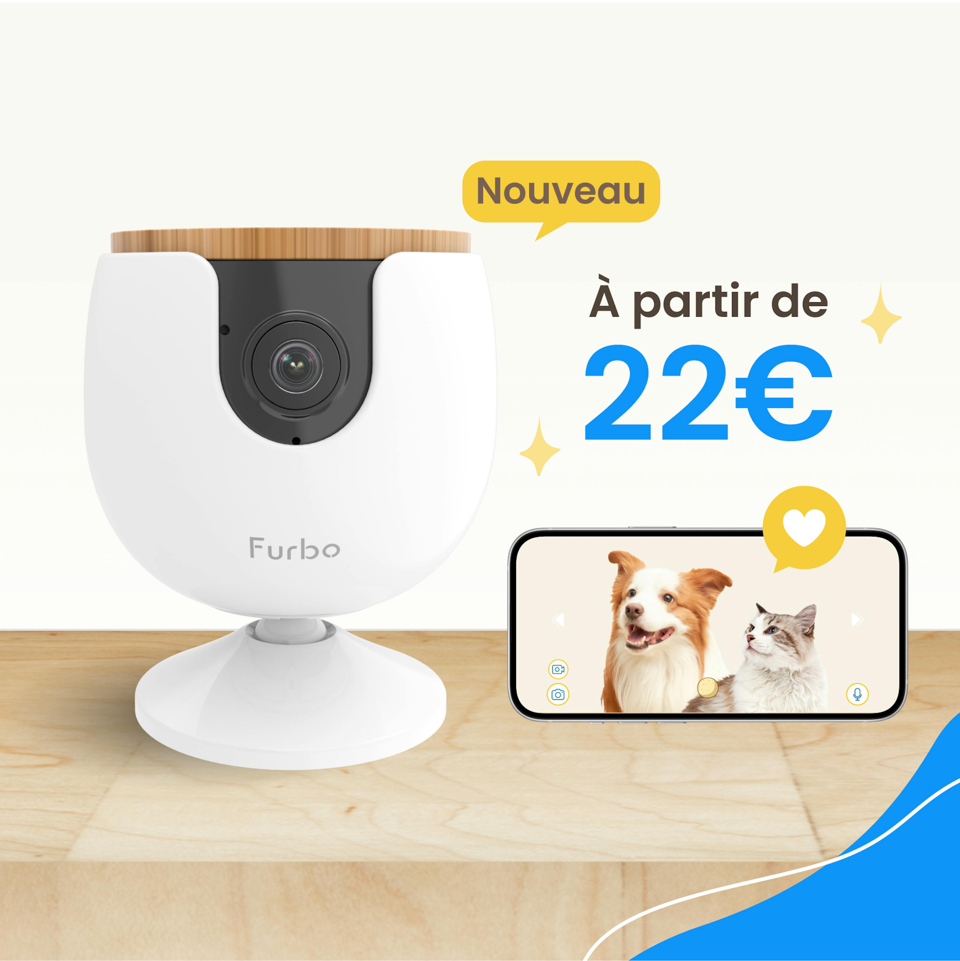  Caméra Furbo Mini sur table bois à côté téléphone avec vue en direct de corgi et chaton.