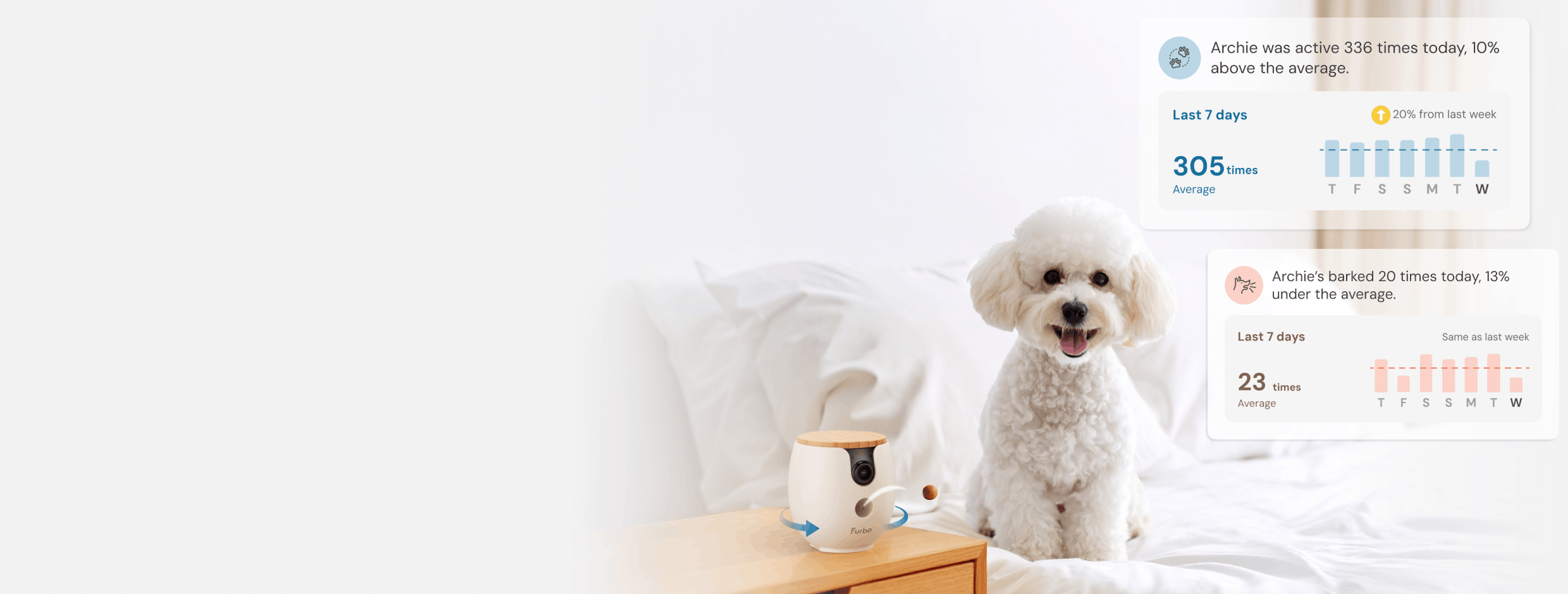 A white dog and a Furbo Mini 360 with Nanny Report on the side