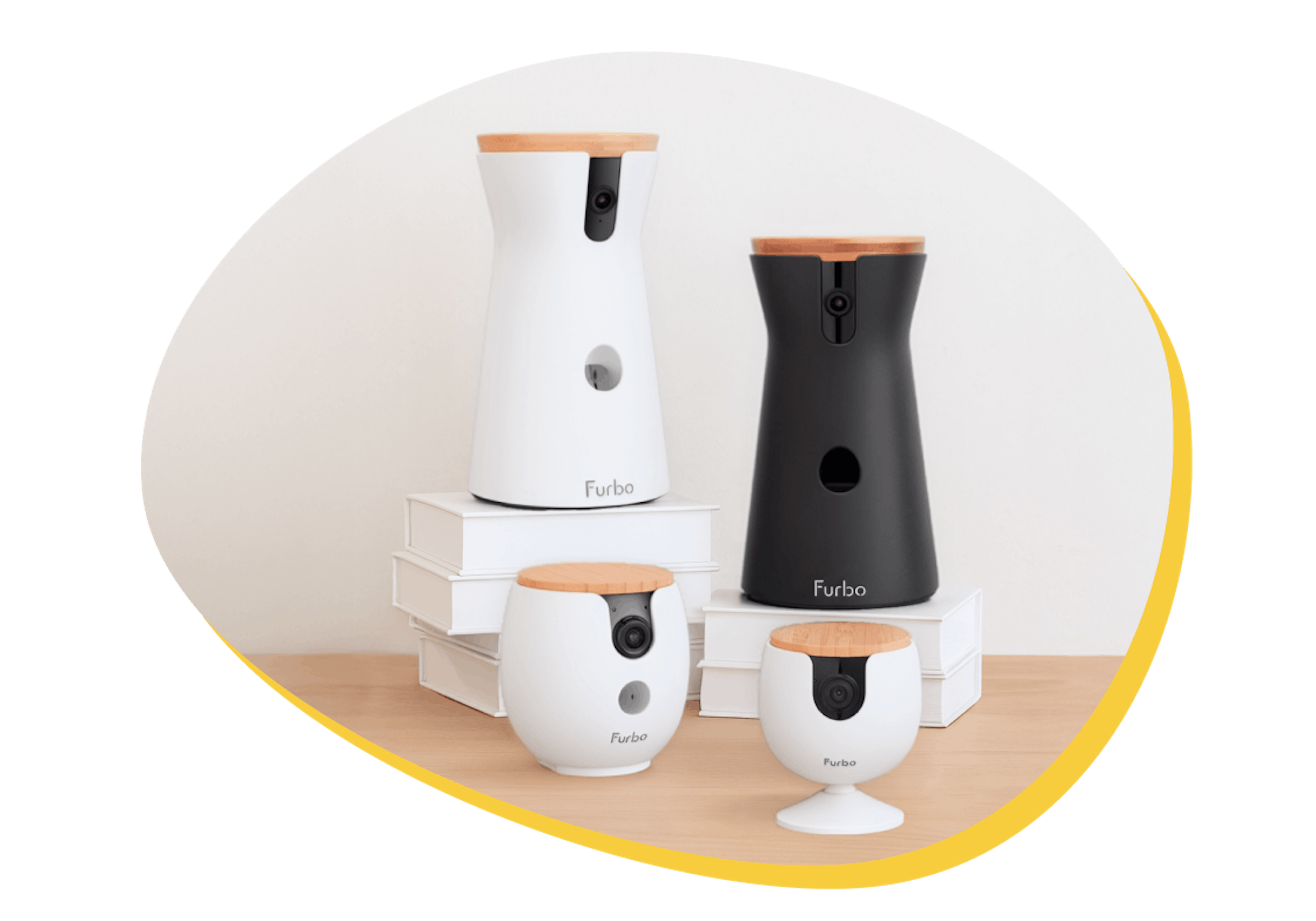 Furbo 360° Dog Camera, Cat Camera, Mini, and Mini 360°displayed side by side on stacked books.