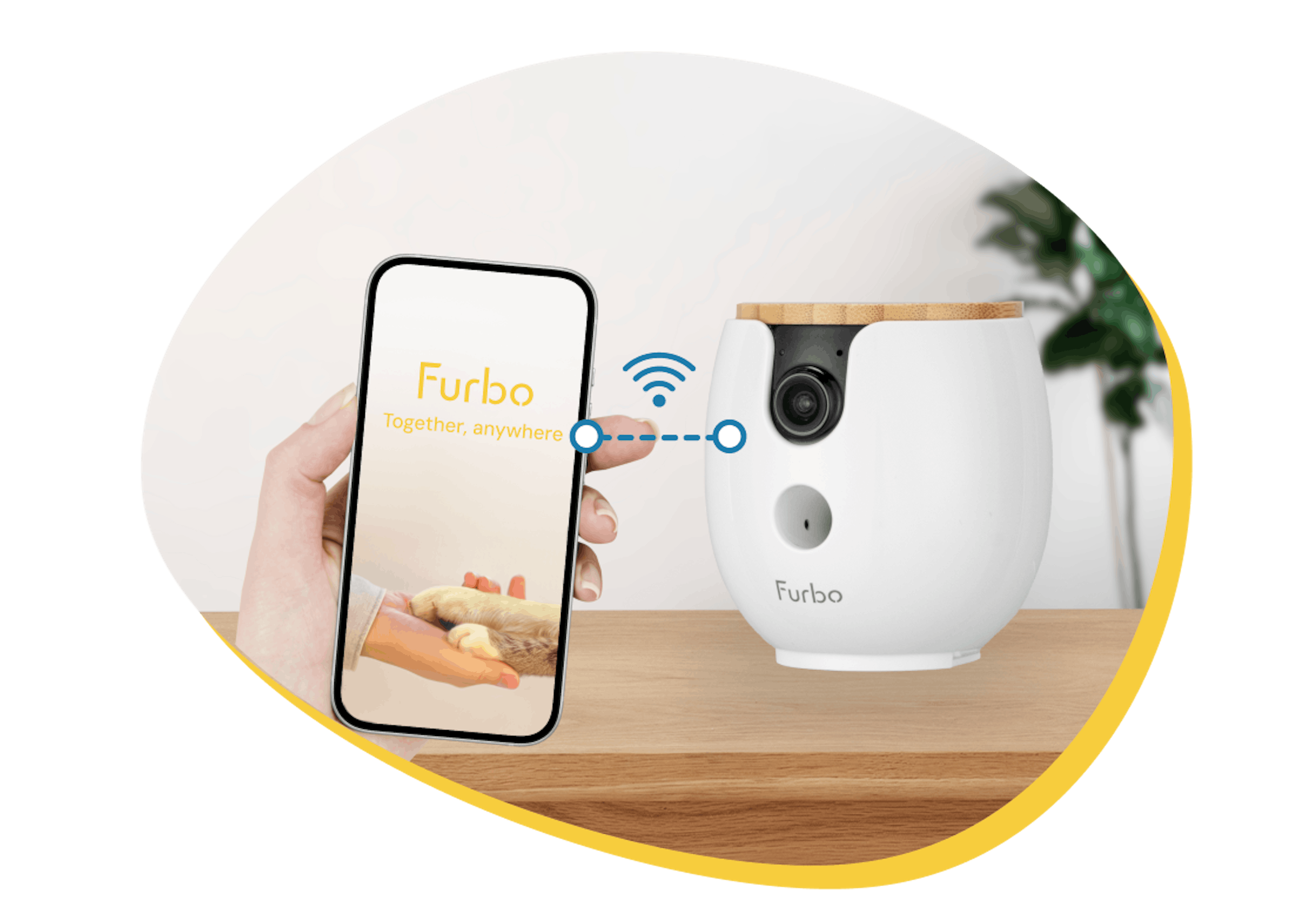 A phone connects to the Furbo device via Wi-Fi.