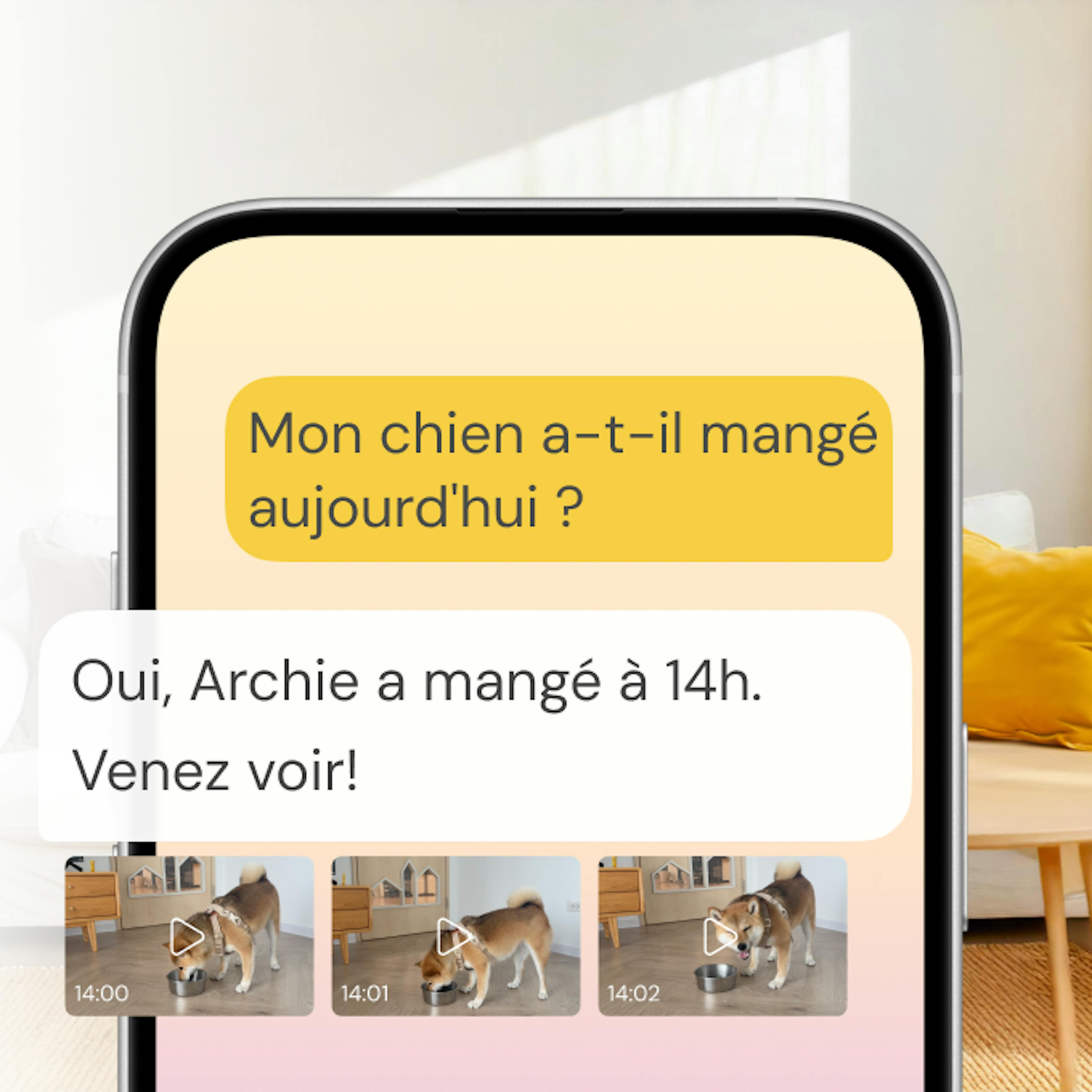 Furbo Nanny signale : Archie a mangé à 14h, avec trois clips vidéo comme preuve