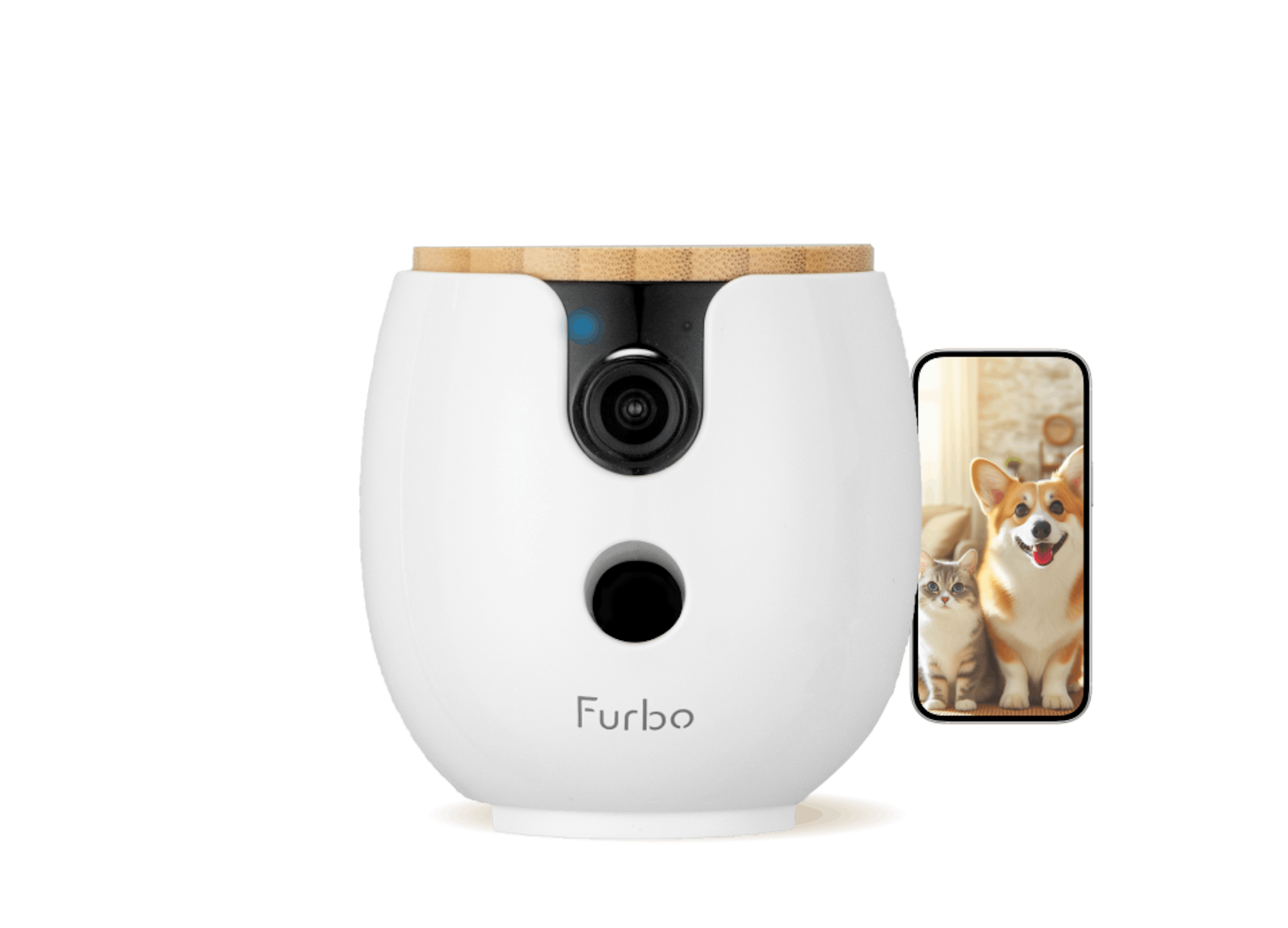 Furbo Mini 360° with a phone beside it