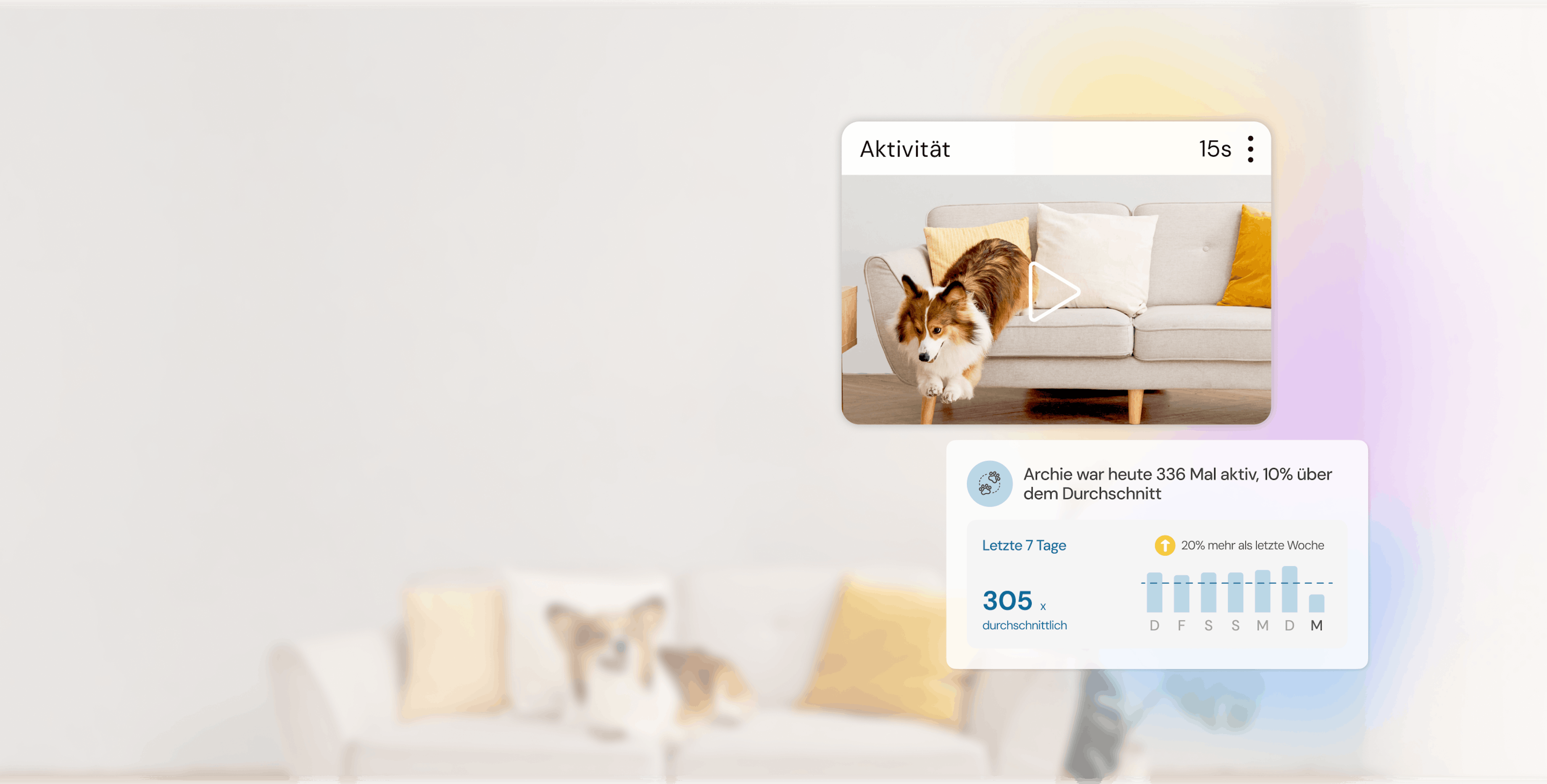 Corgi auf grauem Sofa mit gelbem Kissen, Haustieraktivitäts-Interface mit Statistiken und Wochenchart