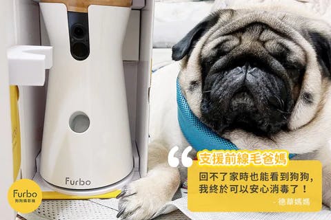 Furbo寵物攝影機與巴哥犬德華