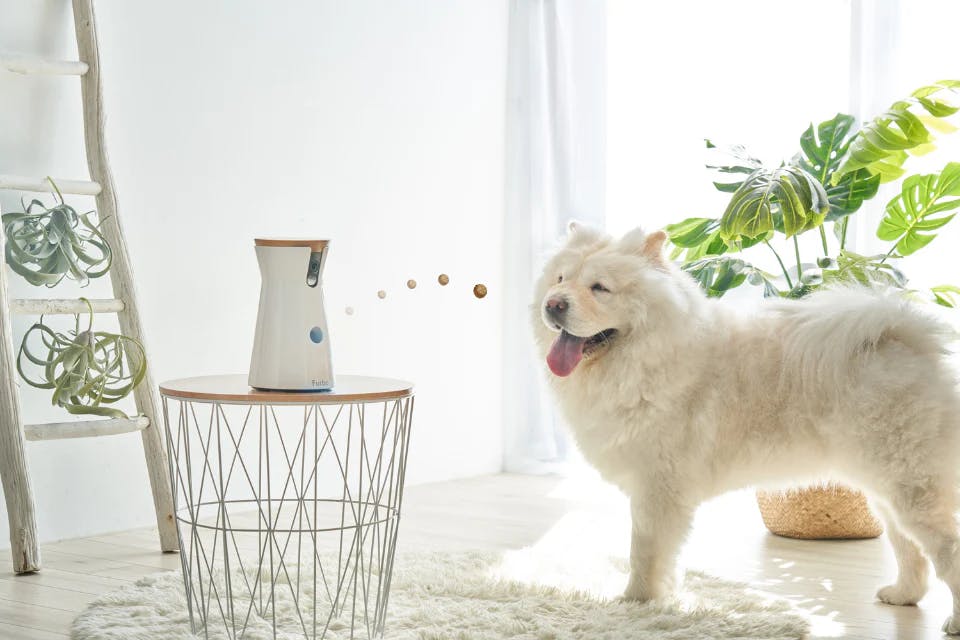 Furbo Dog Camera