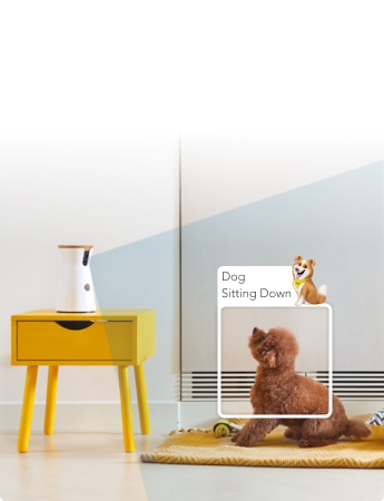 furbo app for windows