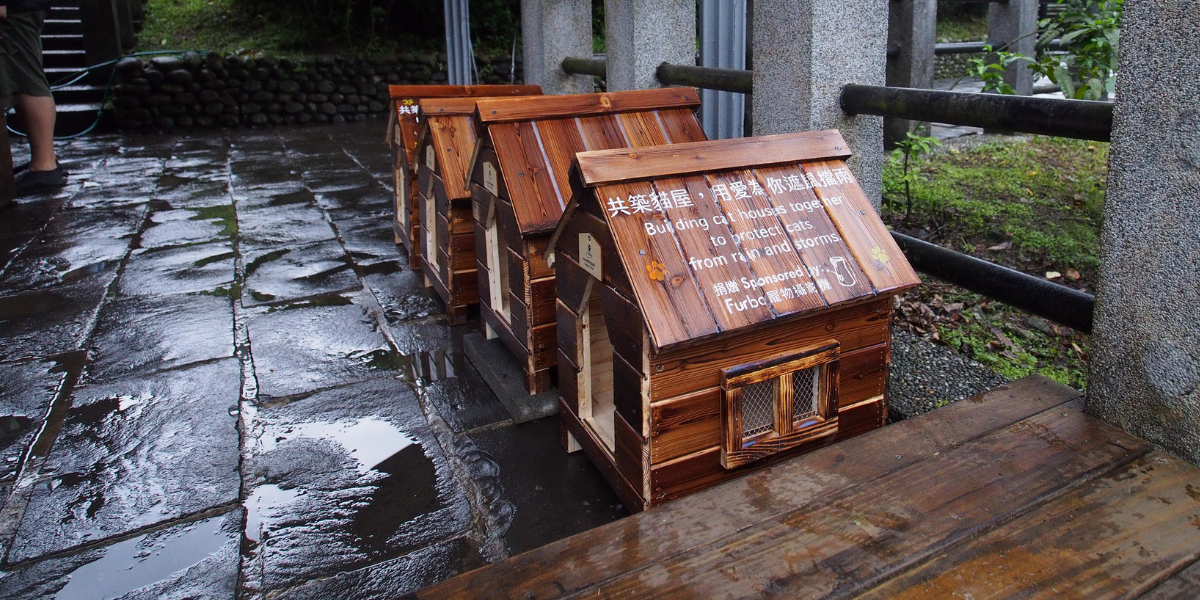 Three small wooden cat houses placed on a wet stone pavement