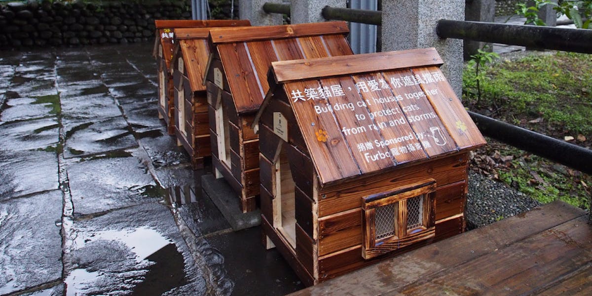 Three small wooden cat houses placed on a wet stone pavement