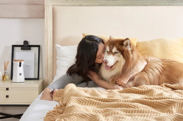 Holding dog image