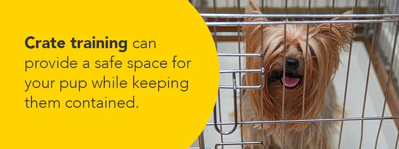 crate training
