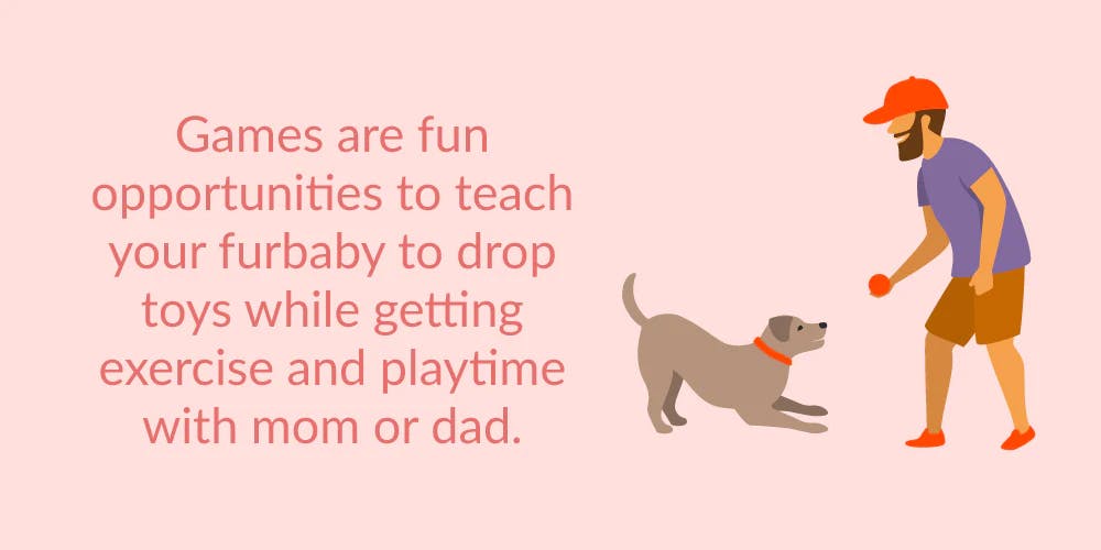 what age is best for puppies to leave their mom