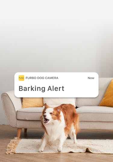 Real-time adjustable barking alerts