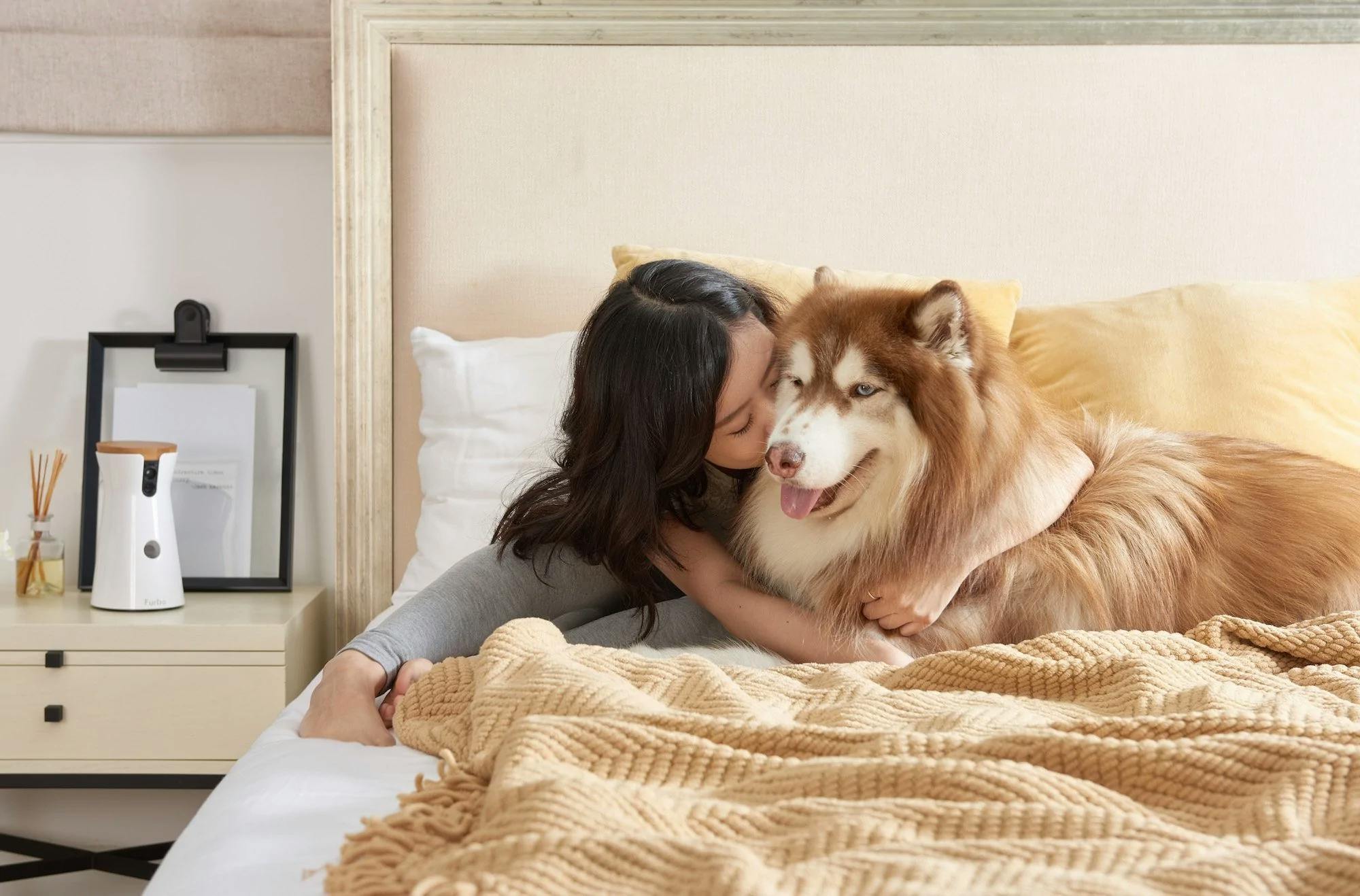 Dog sleeping in bed separation anxiety best sale