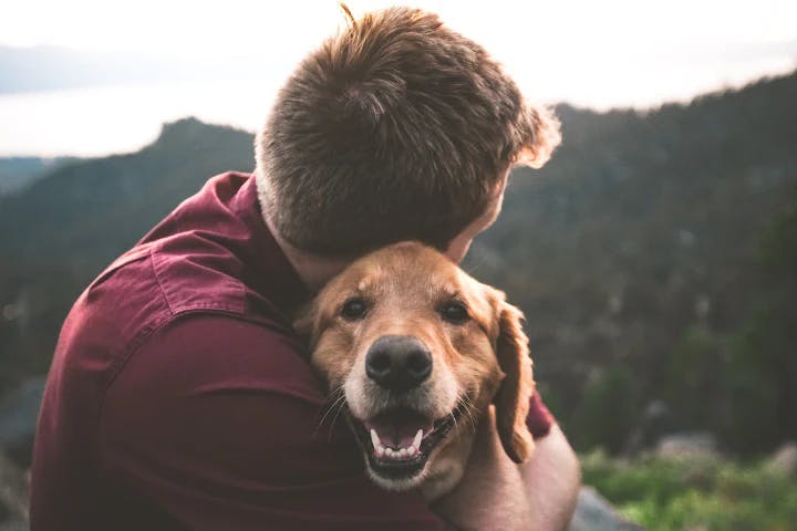 Hugging dogs