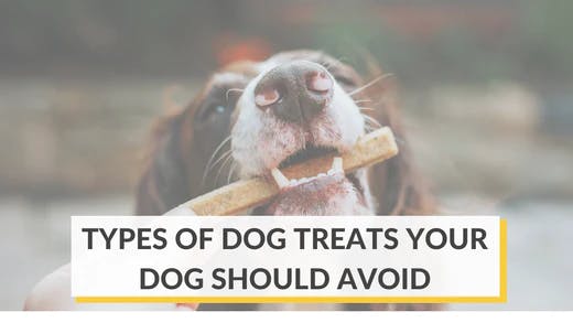 what dog treats to avoid