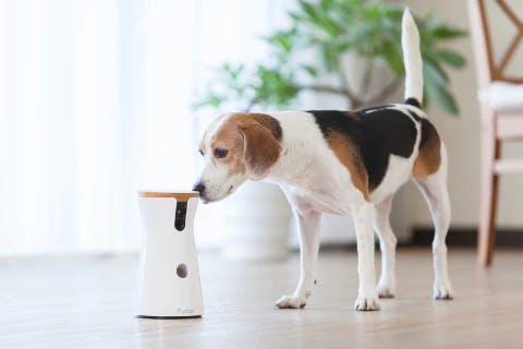 Furbo Dog Camera with Furbo Dog Nanny