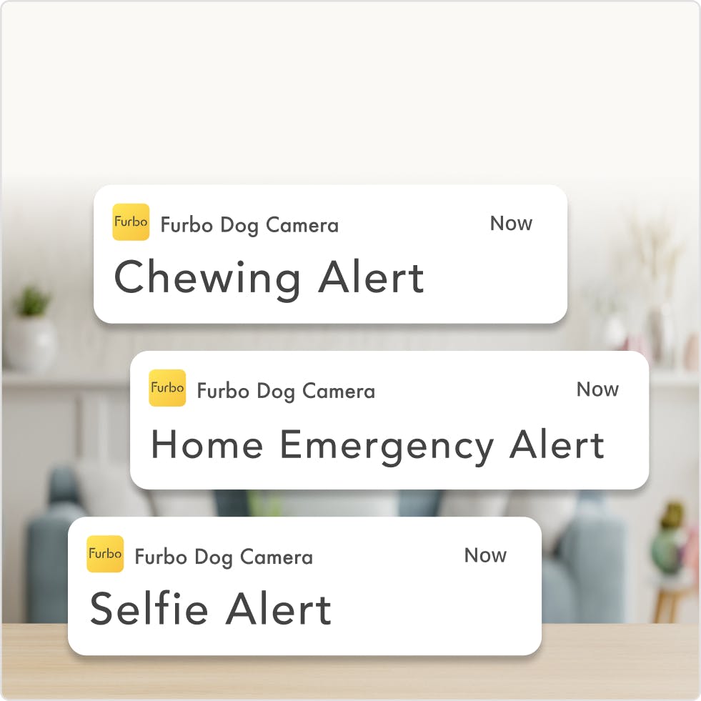 Keep the ones you love safe by being alerted in real-time. Know if your pup is crying, running around at home, or if an unexpected home emergency happens.