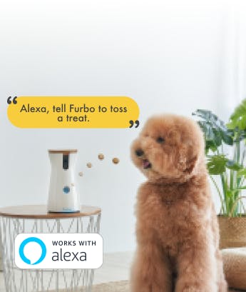 Furbo works with Alexa
