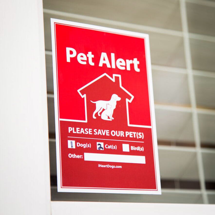 Create a pet alert window sticker