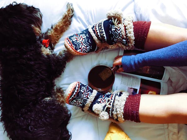 lying bed with dog